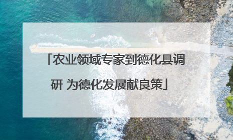 农业领域专家到德化县调研 为德化发展献良策
