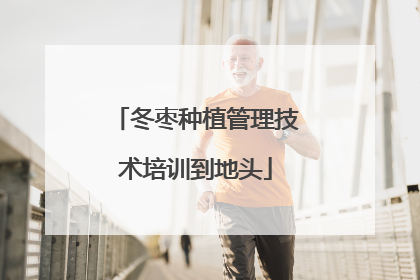冬枣种植管理技术培训到地头