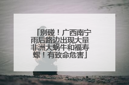 别碰！广西南宁雨后路边出现大量非洲大蜗牛和福寿螺！有致命危害