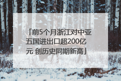 前5个月浙江对中亚五国进出口超200亿元 创历史同期新高