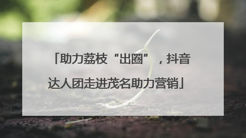 助力荔枝“出圈”，抖音达人团走进茂名助力营销