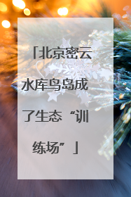 北京密云水库鸟岛成了生态“训练场”