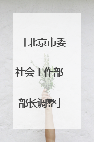 北京市委社会工作部部长调整