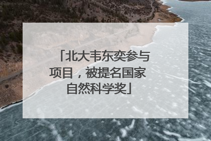 北大韦东奕参与项目，被提名国家自然科学奖