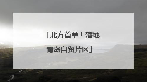 北方首单！落地青岛自贸片区