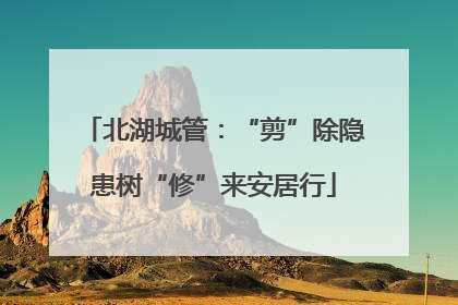北湖城管：“剪”除隐患树“修”来安居行