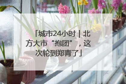 城市24小时｜北方大市“抱团”，这次轮到郑青了