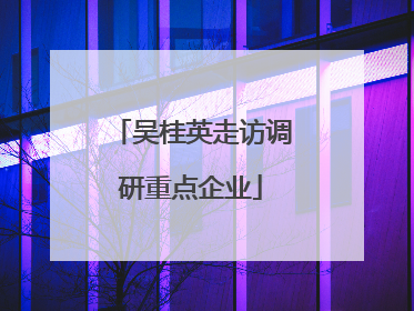 吴桂英走访调研重点企业