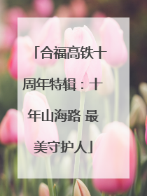 合福高铁十周年特辑：十年山海路 最美守护人