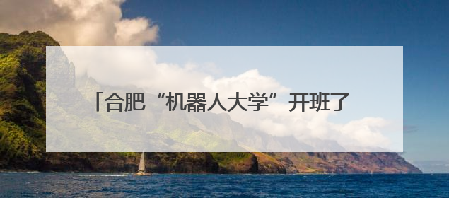 合肥“机器人大学”开班了 全国招收机器人“练习生”
