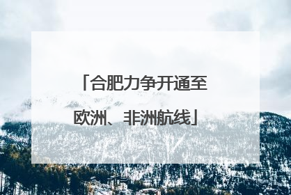 合肥力争开通至欧洲、非洲航线