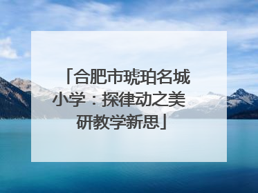 合肥市琥珀名城小学：探律动之美 研教学新思