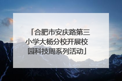 合肥市安庆路第三小学大杨分校开展校园科技周系列活动