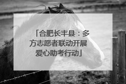 合肥长丰县：多方志愿者联动开展爱心助考行动