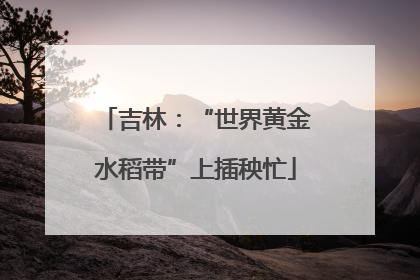 吉林：“世界黄金水稻带”上插秧忙