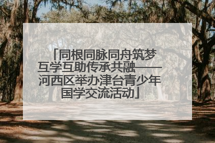 同根同脉同舟筑梦 互学互助传承共融——河西区举办津台青少年国学交流活动