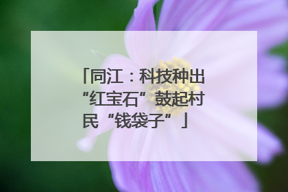 同江：科技种出“红宝石”鼓起村民“钱袋子”