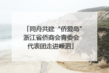 同舟共建“侨爱岛” 浙江省侨商会青委会代表团走进嵊泗