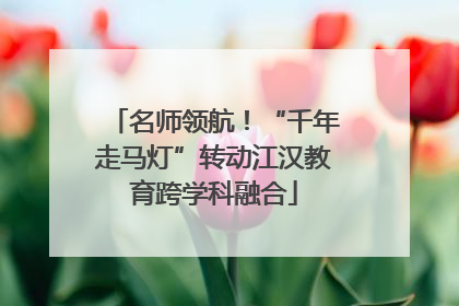 名师领航！“千年走马灯”转动江汉教育跨学科融合