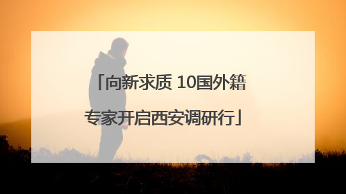 向新求质 10国外籍专家开启西安调研行