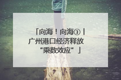 向海！向海③丨广州港口经济释放“乘数效应”