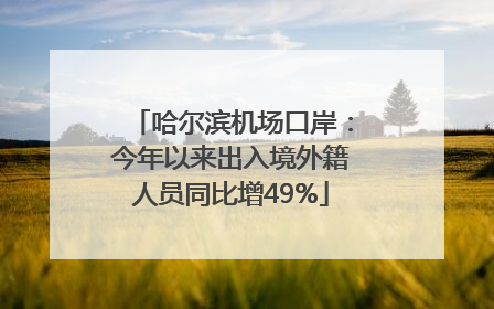 哈尔滨机场口岸：今年以来出入境外籍人员同比增49%