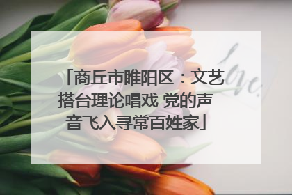 商丘市睢阳区：文艺搭台理论唱戏 党的声音飞入寻常百姓家