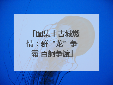 图集丨古城燃情：群“龙”争霸 百舸争渡
