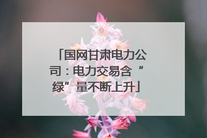 国网甘肃电力公司：电力交易含“绿”量不断上升