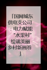 国网城东供电支公司：电力赋能“水果村” 绘就美丽乡村新画卷