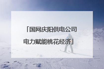 国网庆阳供电公司电力赋能桃花经济