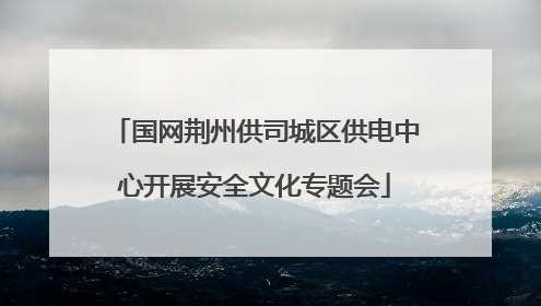 国网荆州供司城区供电中心开展安全文化专题会