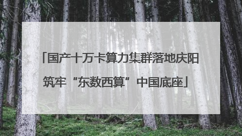 国产十万卡算力集群落地庆阳 筑牢“东数西算”中国底座