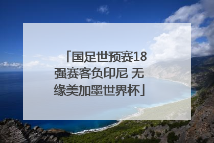 国足世预赛18强赛客负印尼 无缘美加墨世界杯