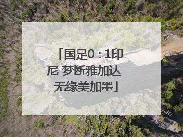 国足0∶1印尼 梦断雅加达 无缘美加墨