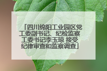 四川绵阳工业园区党工委副书记、纪检监察工委书记李玉琼 接受纪律审查和监察调查