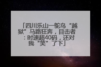 四川乐山一鸵鸟“越狱”马路狂奔，目击者：时速超40码，还对我“笑”了下