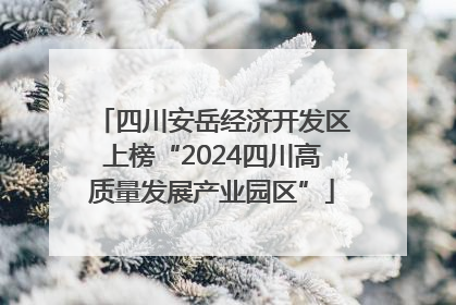 四川安岳经济开发区上榜“2024四川高质量发展产业园区”