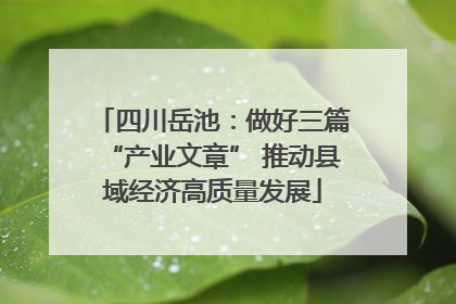 四川岳池：做好三篇“产业文章” 推动县域经济高质量发展