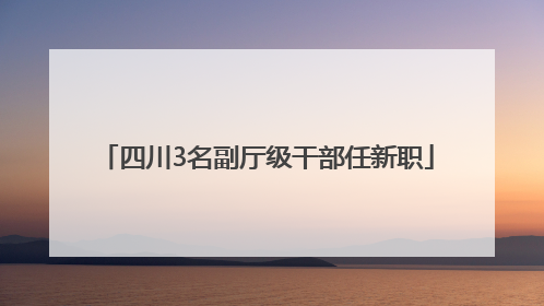 四川3名副厅级干部任新职