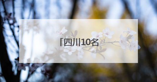 四川10名干部任新职