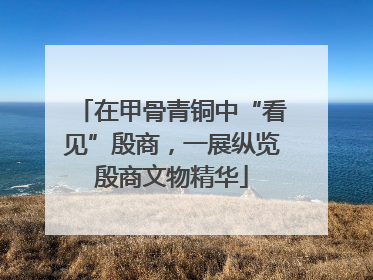 在甲骨青铜中“看见”殷商，一展纵览殷商文物精华