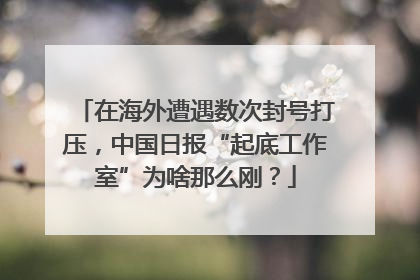 在海外遭遇数次封号打压，中国日报“起底工作室”为啥那么刚？