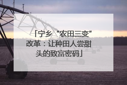 宁乡“农田三变”改革：让种田人尝甜头的致富密码