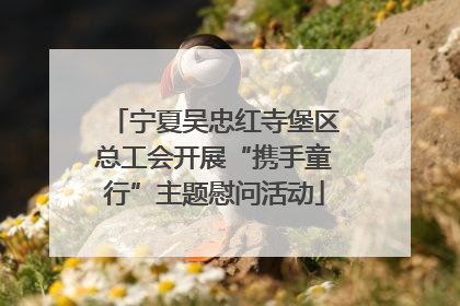 宁夏吴忠红寺堡区总工会开展“携手童行”主题慰问活动