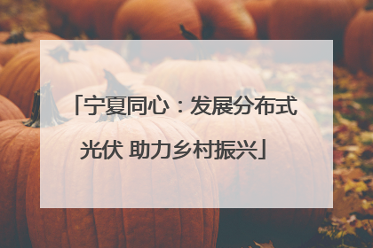 宁夏同心：发展分布式光伏 助力乡村振兴
