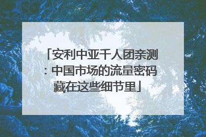安利中亚千人团亲测：中国市场的流量密码 藏在这些细节里