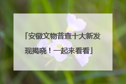 安徽文物普查十大新发现揭晓！一起来看看