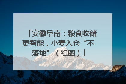 安徽阜南：粮食收储更智能，小麦入仓“不落地”（组图）