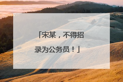 宋某，不得招录为公务员！
